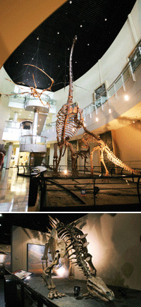 공룡박물관 내부